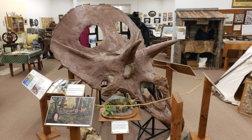 A large dinosaur skull displayed in a museum, surrounded by informational plaques and exhibits.